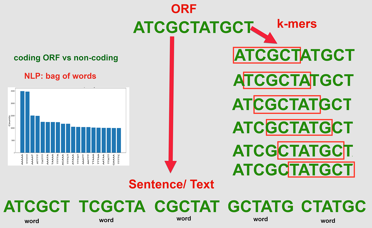 9.1. Working with Sequences